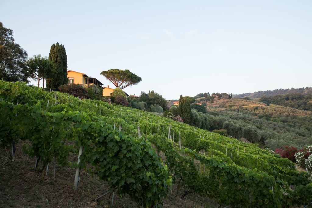 Casa Vacanze Casa Italia Lamporecchio Kültér fotó
